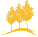 Logo Icon Large